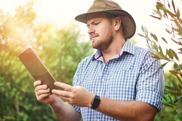 Man standing in a field reading a tablet