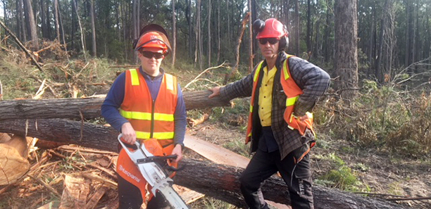 East-Gippsland-Timber-Trainer-Vies-for-Victorian-Training-Award