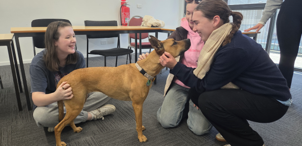 Norah interacting with animal science students 