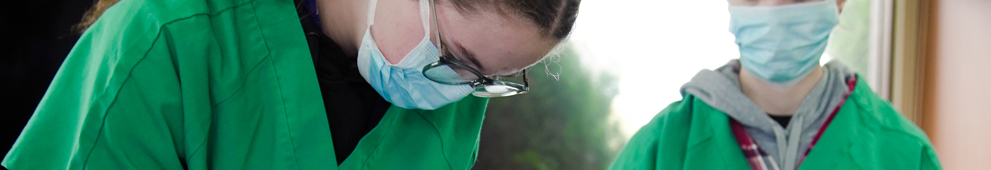 Certificate II in Animal Care (On campus) - TAFE Gippsland Certificate II in Animal Care (On campus) - TAFE Gippsland