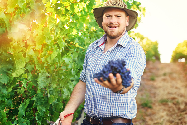 Man holding grape