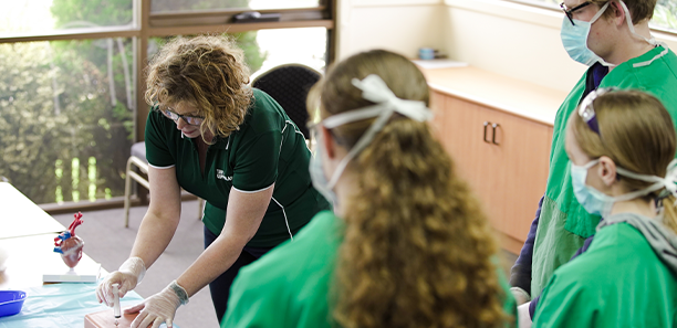 veterinary nursing teacher and students