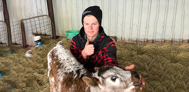 TAFE-Gippsland-jake-Seuren-with-calf.jpg