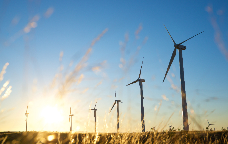 TAFE-Gippsland-Wind-Farm