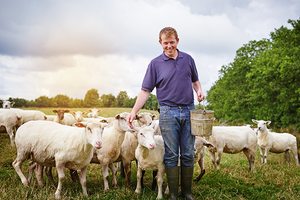 sheep farmer