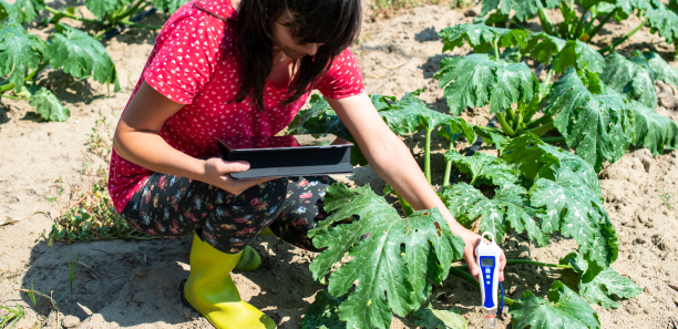 Woman inspecting soil quality